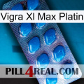 Vigra Xl Max Platinum viagra1